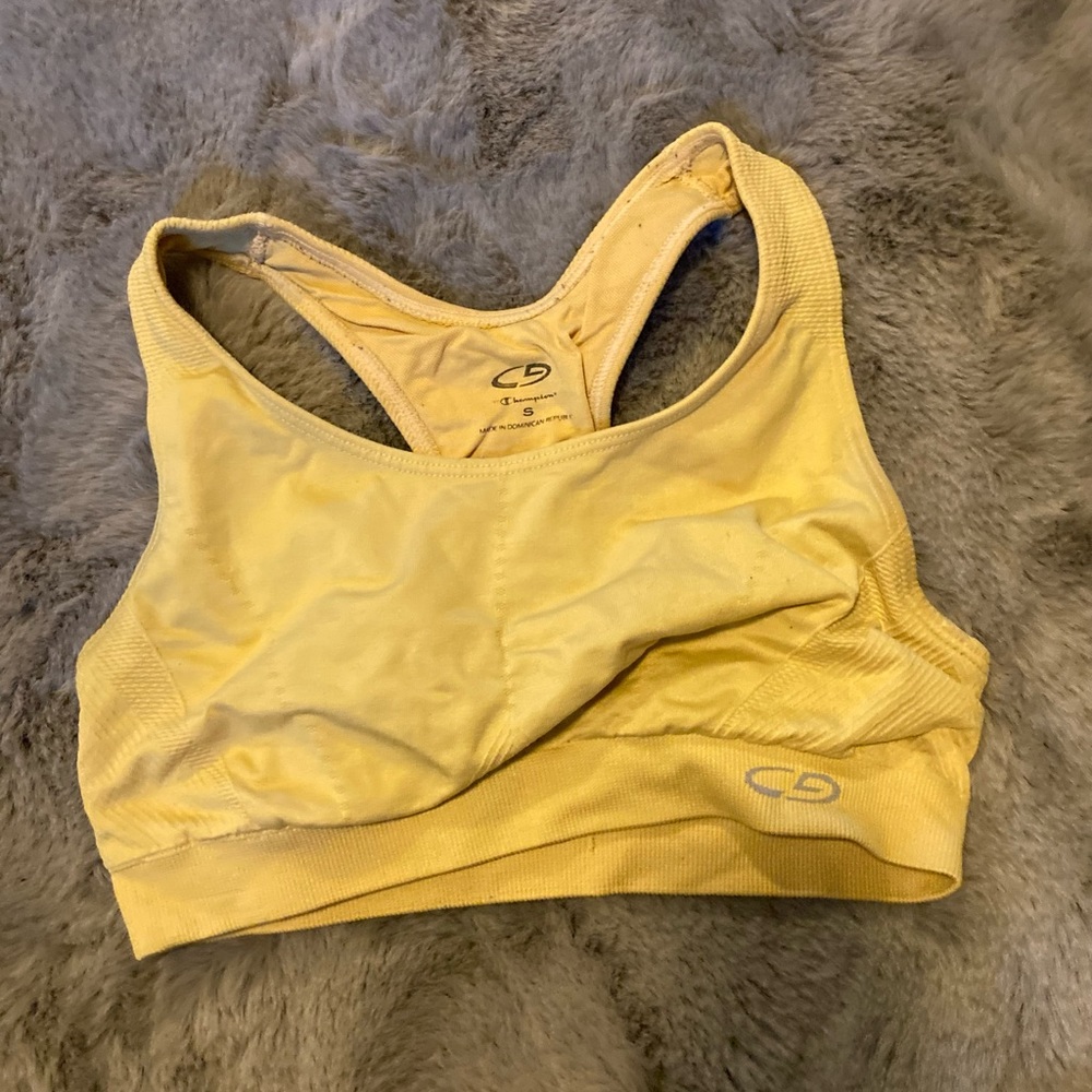 Champion Sports bra